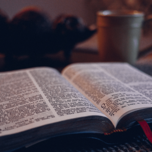 2024 Scripture Reflections: Verses That Spoke to My Soul