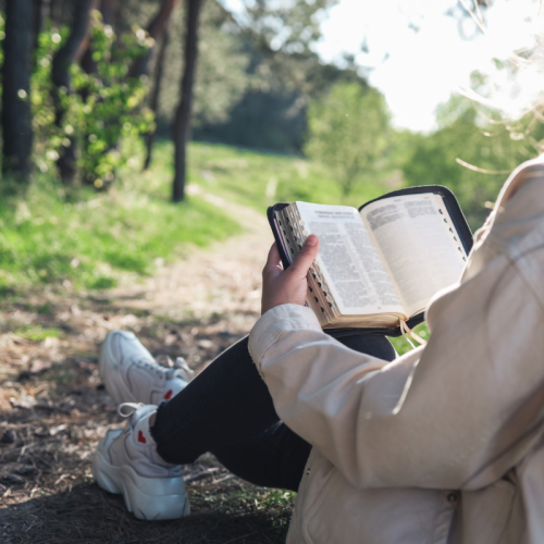 Choosing A Life Verse